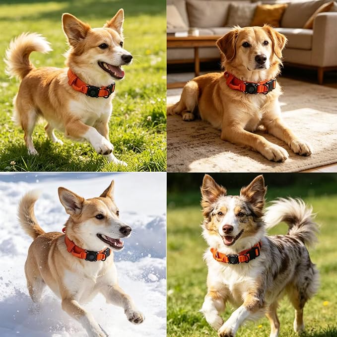AirTag Dog Collar for Large Dogs Tactical Dog Collar with AirTag Holder | Upgrade Waterproof,Control Handle,Quick-Release Metal Buckle,1000D Nylon Fabric,Soft-Padded Webbing,Velcro Patch(Orange,L)