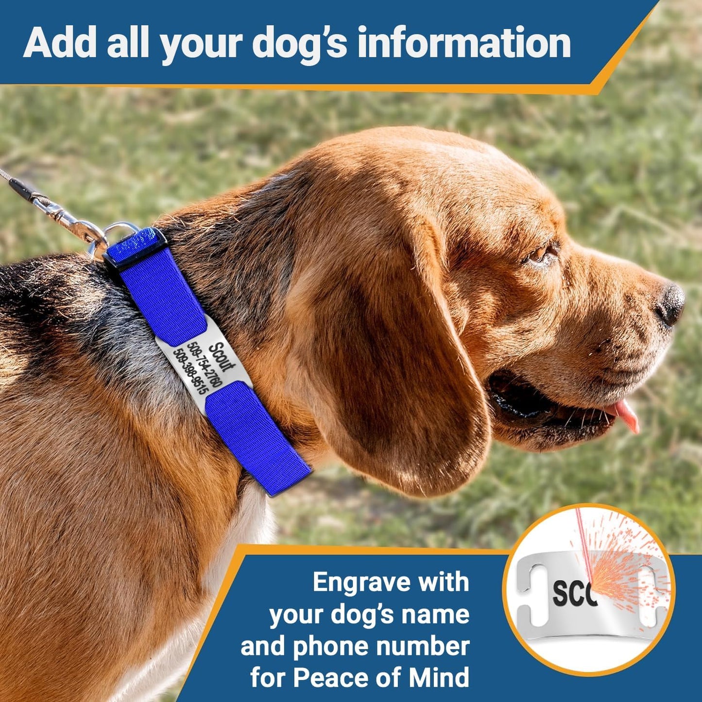 GoTags Reflective Personalized Dog Collar with Nameplate, Adjustable Dog Collar with Custom Engraved Steel Slide On Pet ID Tag, Silent, No Noise Dog Tag for Large Medium or Small (Black, Small)