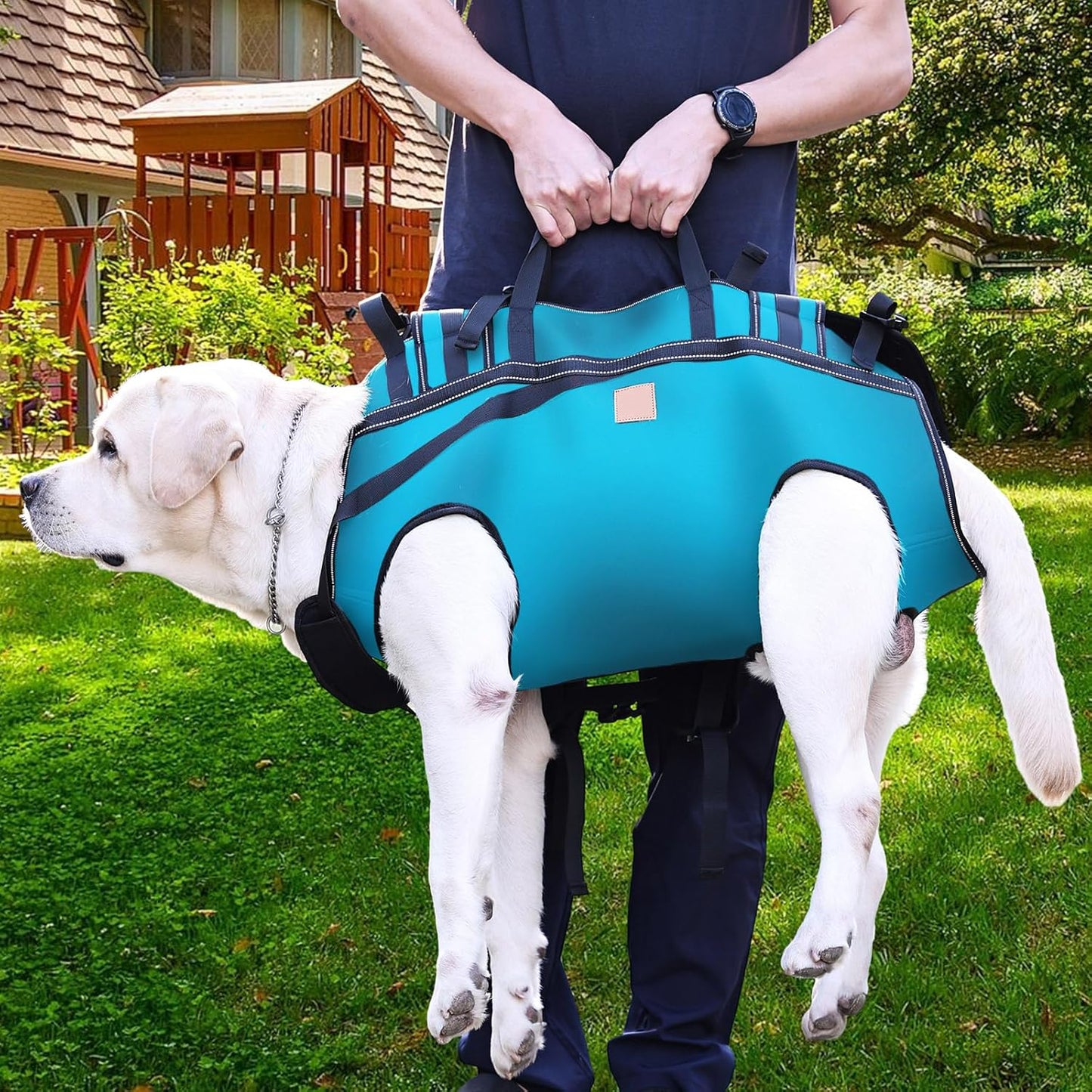 Dog Lift Harness Backpack Carrier for Large Dogs, Full Body Sling with Handle, Dog Harness for Joint Injuries, Arthritis, Ideal for Stairs, Elderly Dogs (Blue XX-Large 50-66 LBS)