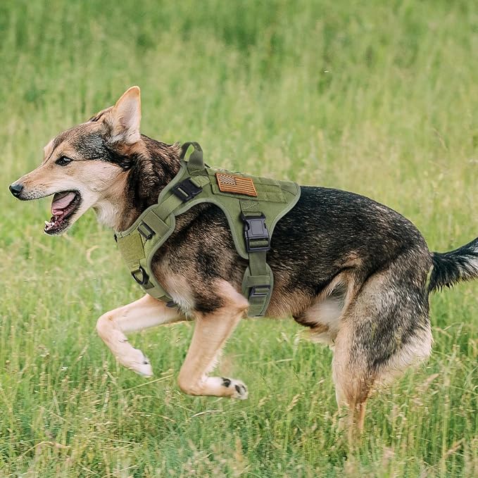rabbitgoo Tactical Dog Harness for Small, Heavy Duty Military No Pull Vest | Sturdy Metal Buckles, 5 Adjustments, Molle System, Powerful Pullers for Training, Hunting, Outdoor, Green, Small