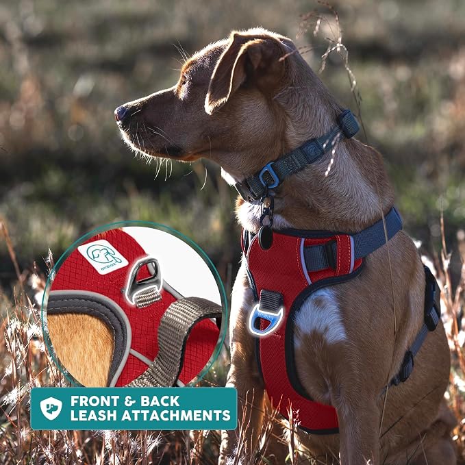Embark No Pull Dog Harness, Reflective Adjustable Training Vest, No Choke | Adjustable straps fit all dog breeds with sturdy hooks; 360° reflective trim, soft padded Harness Design for All Dogs