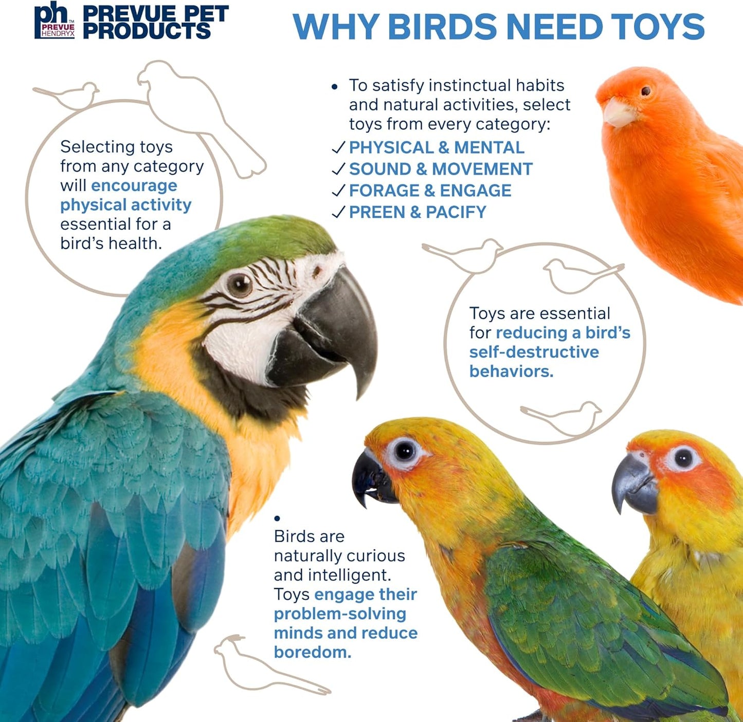 Prevue Pet Products Sink 'n Seek - Playfuls Forage & Engage Bird Toy 60250