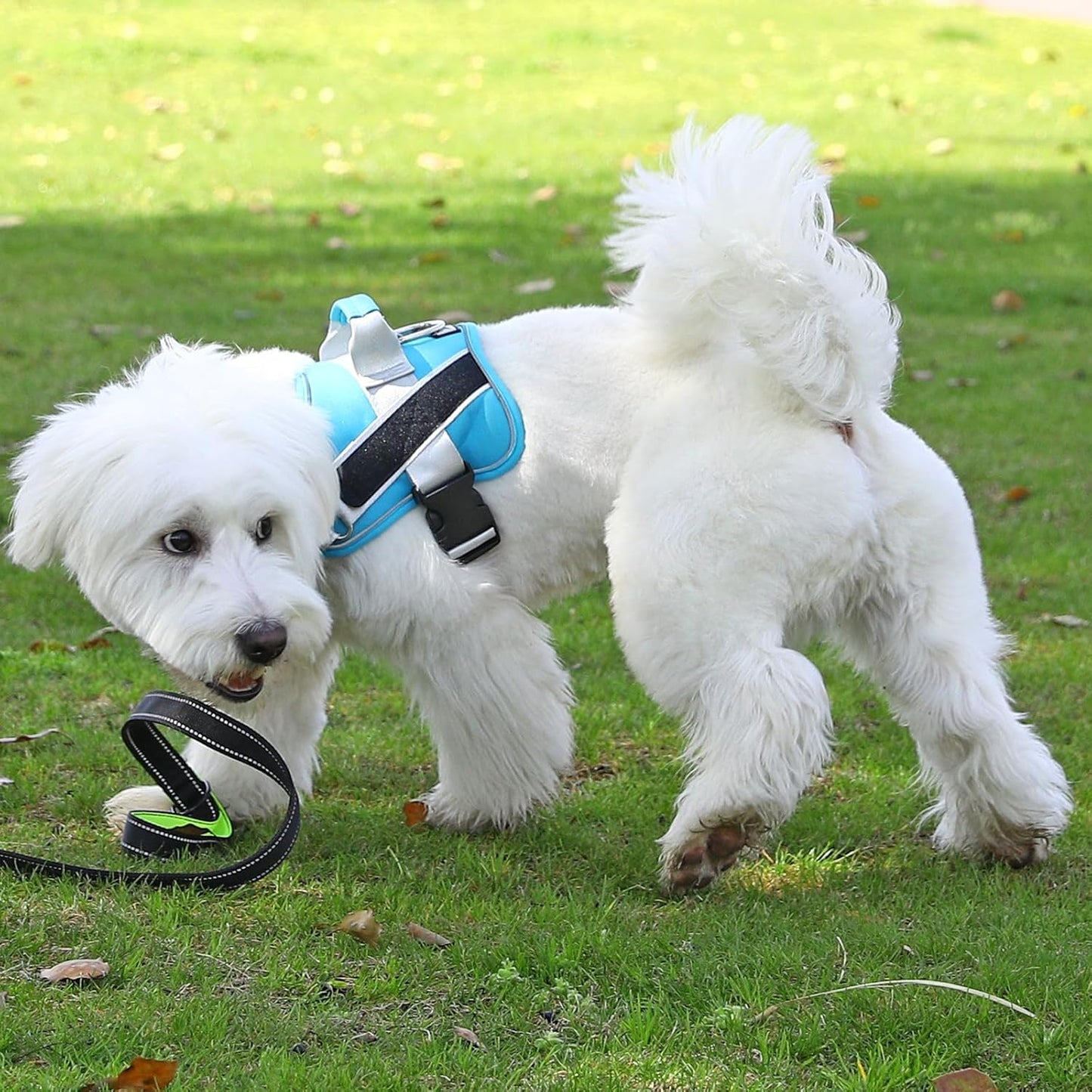 Bolux Dog Harness, No-Pull Reflective Dog Vest, Breathable Adjustable Pet Harness with Handle for Outdoor Walking - No More Pulling, Tugging or Choking (OceanicBlue, X-Large (Pack of 1))
