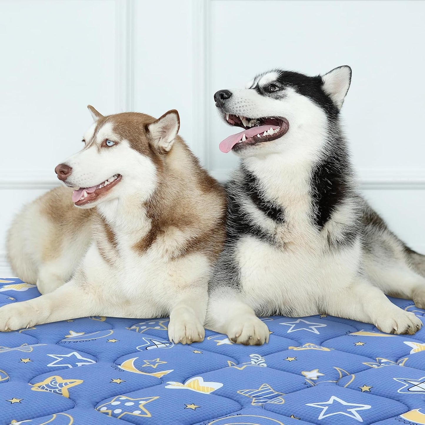 Bubble bear Dog Crate Mat - Ultra Soft, Washable & Anti-Slip Kennel Pad for Small/Medium/Large Dogs, Dark-Hued to Hide Stains (48"x30")