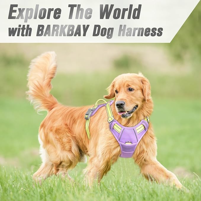 BARKBAY Dog Harness No Pull for Large Dogs Front Back Clips,Dog Vest | Soft Padded No Choke With Handle,Easy On&Off,Adjustable Reflective For Walking Training Running(Violet Purple & Sunlight,L)
