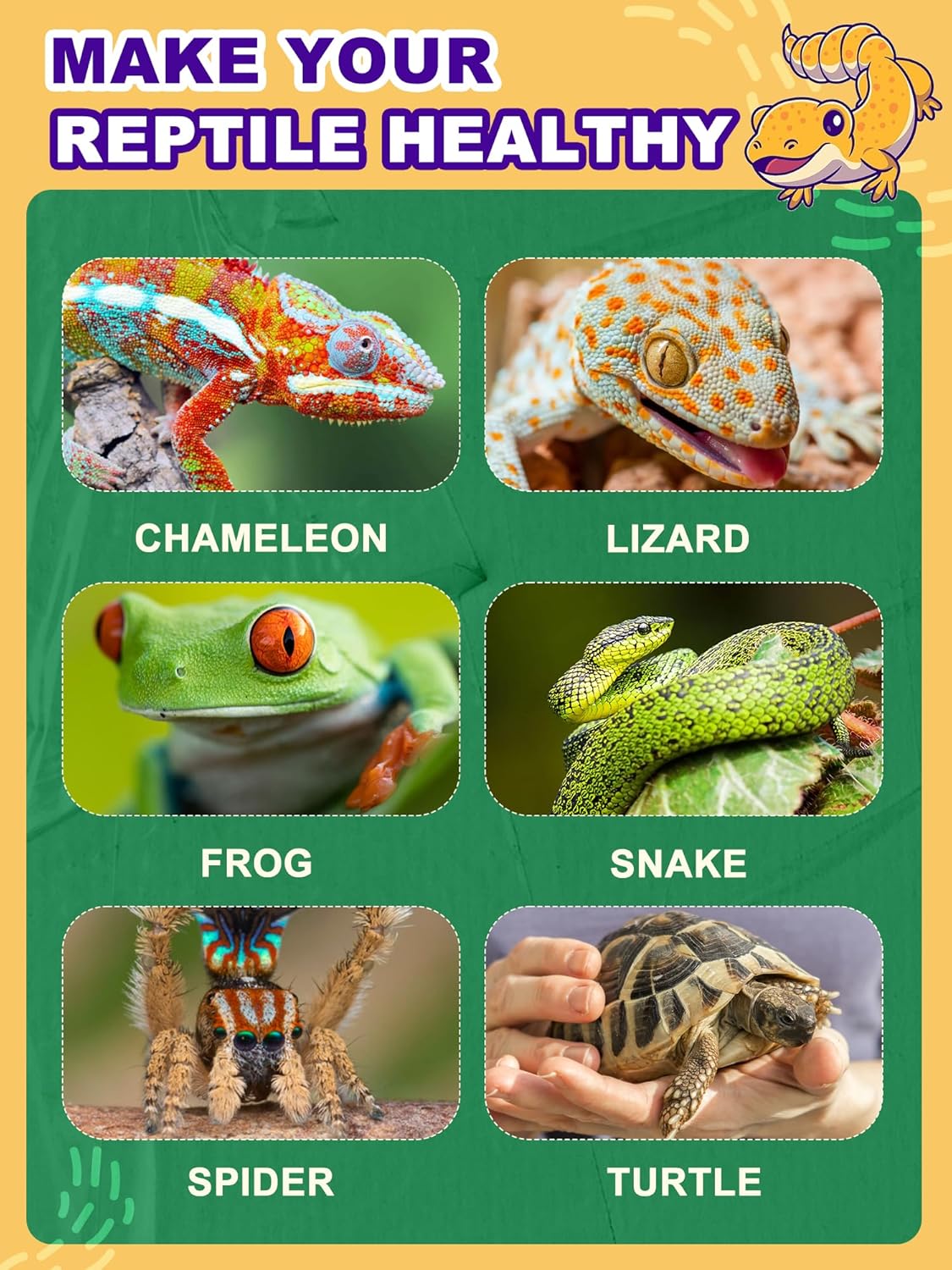 Heat Lamp Bulb, 160 Watt Pack of 2 Full Spectrum UVA UVB Reptile Heat Bulb, Basking Spot Light, Simulate Natural Sun Light for Reptile and Amphibian, Pack of 2