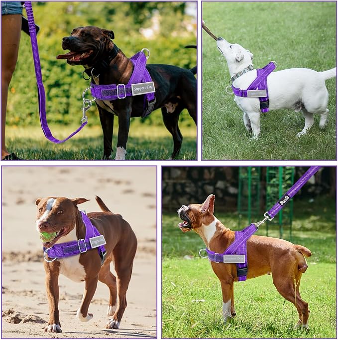 SlowTon No Pull Dog Harness with Front Clip - Heavy Duty, Soft Padded | Neck & Chest Adjustable, Tactical Pet Vest and Leash Set for Large Medium Sized Dogs, for Easy Walk & Training, Purple M