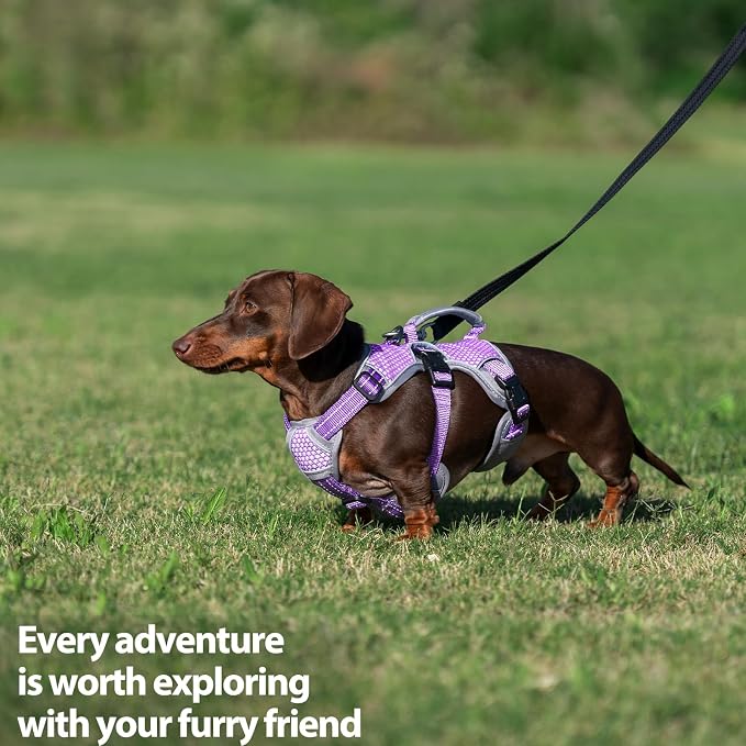 Escape Proof Dog Harness, Dachshund Harness, Reflective Dog Harness with Handle, Durable,Adjustable Vest for Small Medium Large Dogs Walking, Training, and Running Gear (Lavender Purple,L)