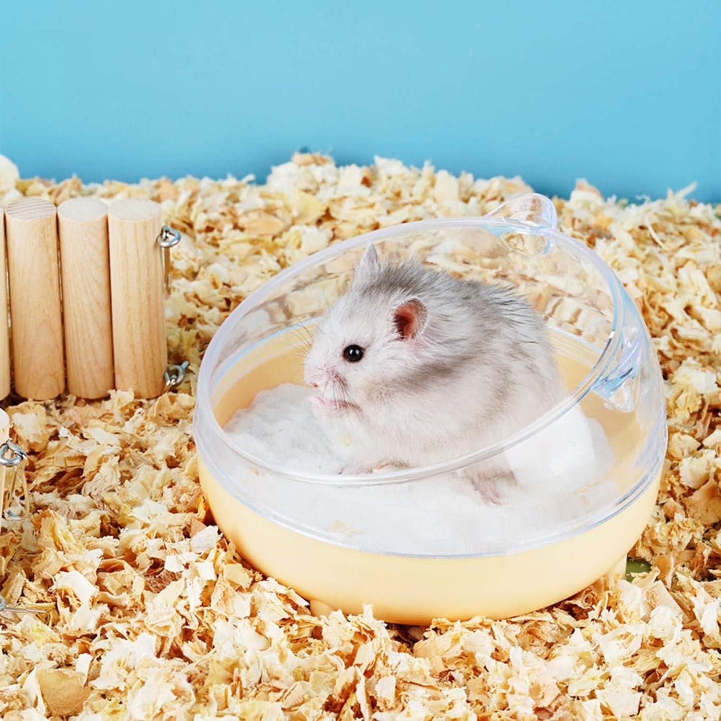 Meow&Woof Hamster Sand Bath Container, Large Sandbox Toilet Gerbil Batheoom, Tiny Chinchilla Dust Bathtub Sand Bath Box for Hamster Cage Accessories 6.5 Inch-White