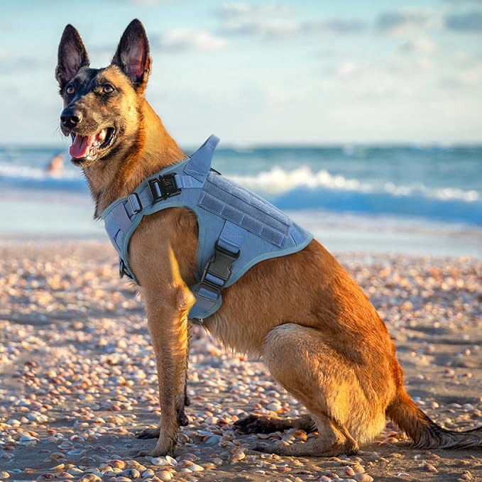 rabbitgoo Tactical Dog Harness for Medium, Heavy Duty Military No Pull Vest | Sturdy Metal Buckles, 5 Adjustments, Molle System, Powerful Pullers for Training, Hunting, Outdoor, Blue, Medium