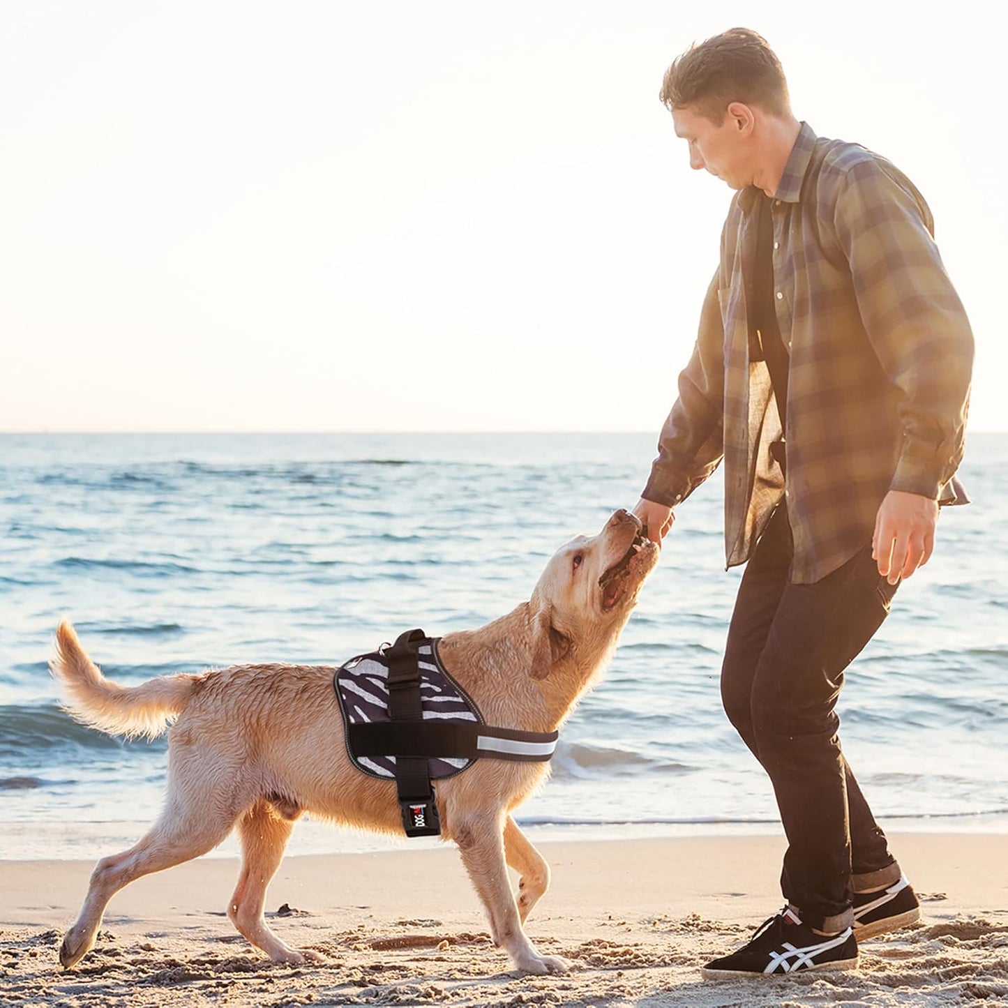 Dogline Dog Harness, Reflective No-Pull Adjustable Vest with Handle for Walking, Training, Breathable, No - Choke Harness for Small, Medium or Large Dogs Room for Patches Zebra Black/White XL 33"-46"