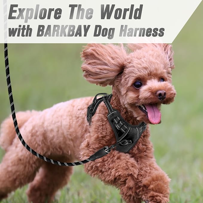 BARKBAY Dog Harness No Pull for Small Sized Dog Front Back Clips,Dog Vest | Soft Padded No Choke With Handle,Easy On&Off,Adjustable Reflective For Walking Training Running(Black,XS)