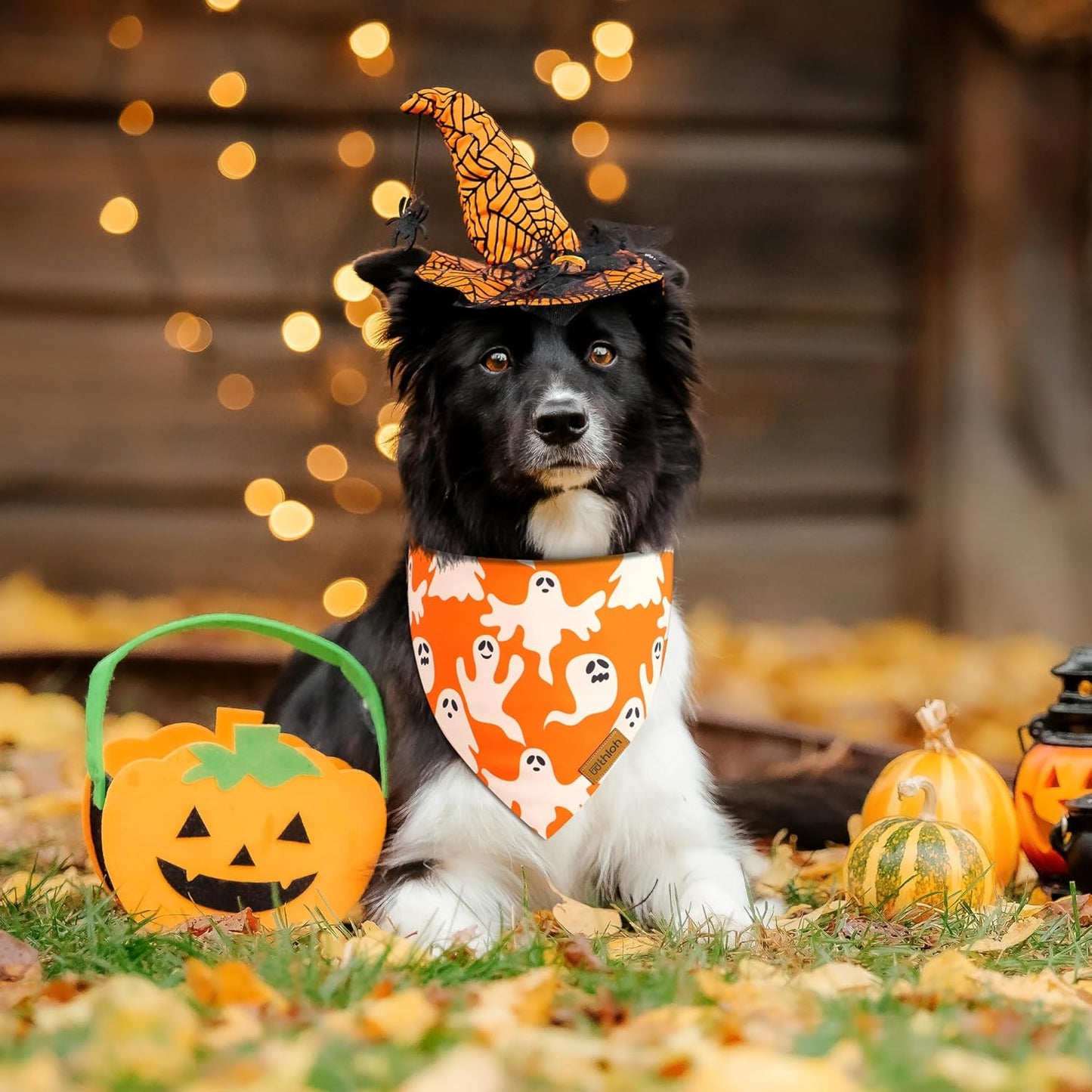 Halloween Dog Bandanas - 2 Pack Fall Dog Bibs | Reversible Pumpkin and Ghost Pet Scarf for Boys and Girls | Premium Durable Fabric | Orange Dog Bandana for Large and Extra Large Dogs (X-Large)