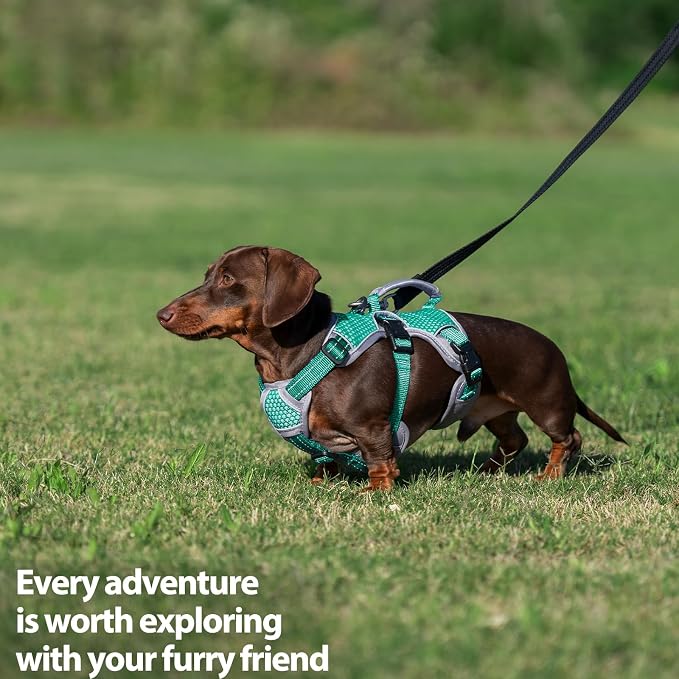 Escape Proof Dog Harness, Dachshund Harness, Reflective Dog Harness with Handle, Durable,Adjustable Vest for Small Medium Large Dogs Walking, Training, and Running Gear (Mint Green,XL)
