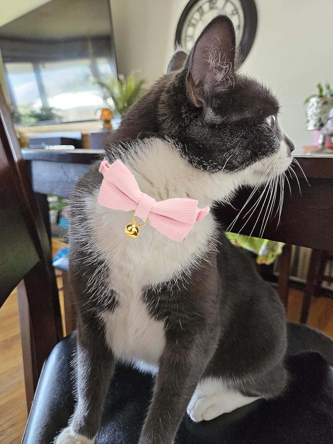 2 Pack Soft Corduroy Cat Collars with Bow Tie & Bell, Adjustable Breakaway Cotton Kitty Bowtie Collar for Girl Boy Kitten (Pink & Blue)