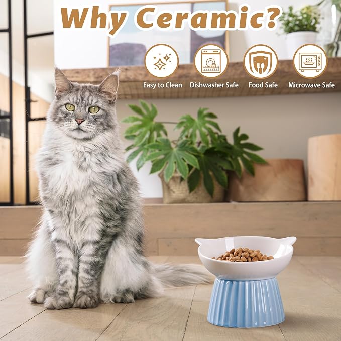 Ceramic Raised Cat Bowl,Tilted Raised Cat Bowl Anti Vomit Cat Bowls for Indoor Cats Whisker Friendly Pet Feeder for Cats Puppies, Microwave and Dishwasher Safe, Blue