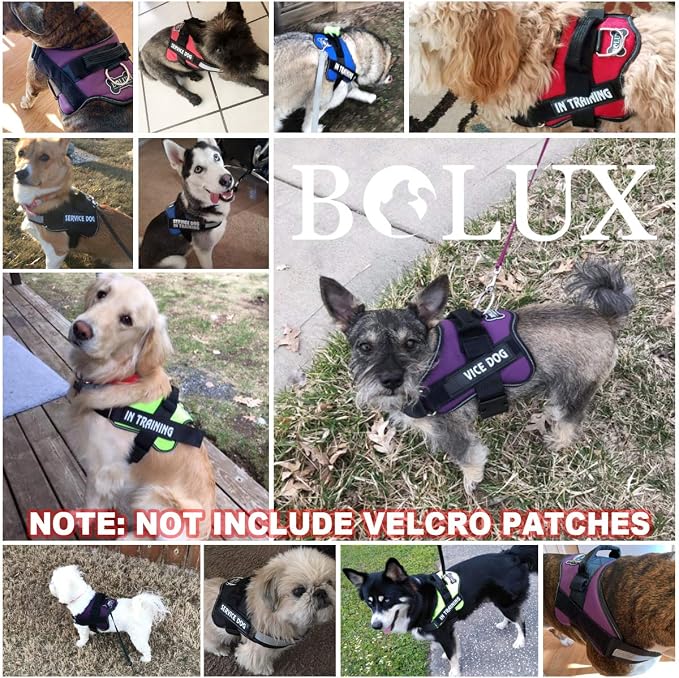 Dog Harness No Pull Reflective Adjustable Pet Vest with Handle for Outdoor Walking- No More Pulling, Tugging or Choking(Red,XL)
