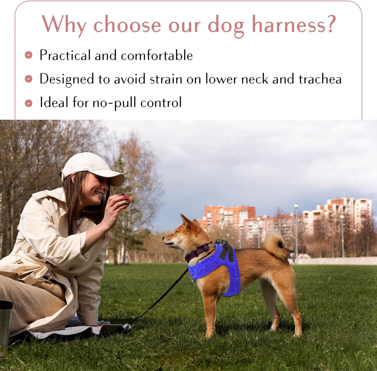 Comfort Fit No Pull Dog Harness – Adjustable Step-in Vest for Small, Medium & Large Dogs, Soft Padded with Leash Clips, Reflective Straps & Handle