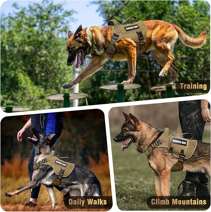 2X Metal Buckle Service Working MOLLE Dog Vest with 10 Pet Patches | Tactical Dog Harness for Medium Dog, No-pull Military Working Vest for Training Hunting Walking,2x D Rings for Leash Clip