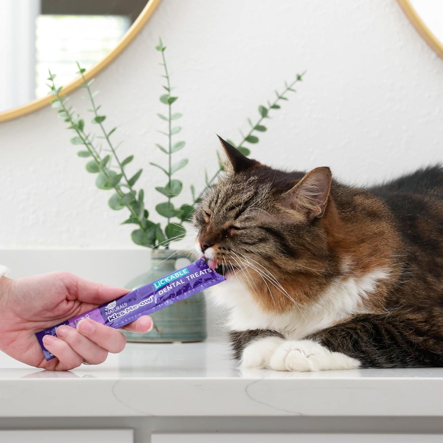 ARK NATURALS, Kiss Me-Ow Lickable Chicken, 2 oz (Pack of 3)