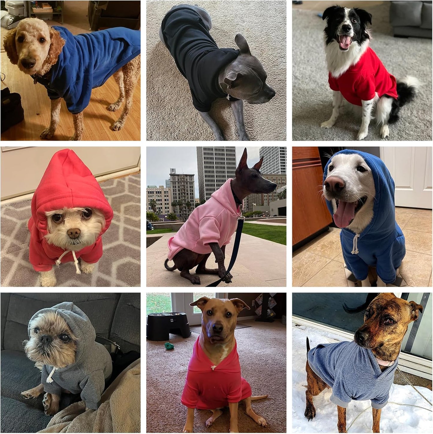 KOOLTAIL Basic Dog Hoodie - Soft & Warm Dog Hoodie Sweater with Leash Hole and Pocket, Dog Winter Coat, Cold Weather Clothes Sweatshirt for Small Medium Large Dogs Puppy Cat Boys Girls Green SM
