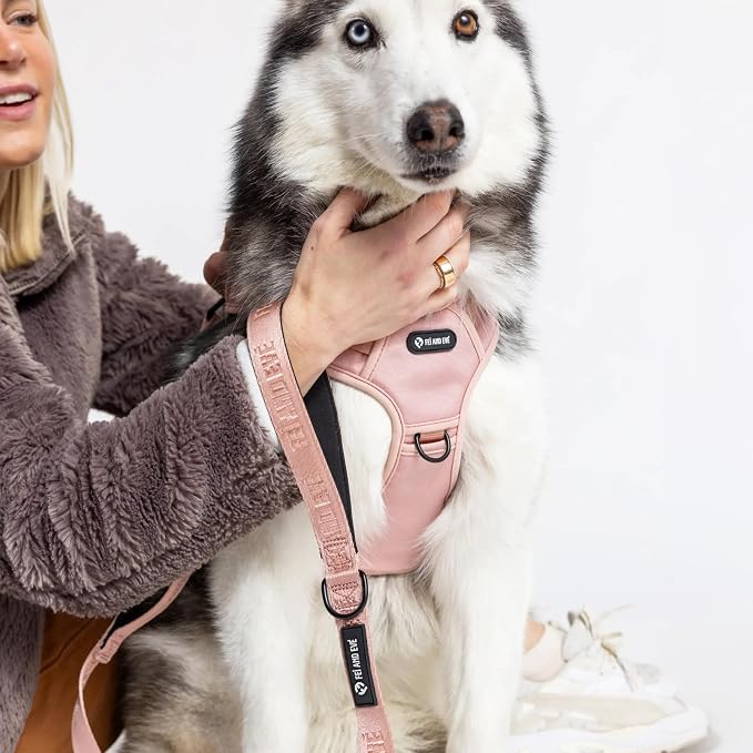 Fei & Eve Classic Dog Harness, MagEase Magnetic Buckle | 3-Point No-Pull Control, Dual Handle Support, 900D Nylon, Tactical Patch Panel, Heavy Duty, Large, Pink