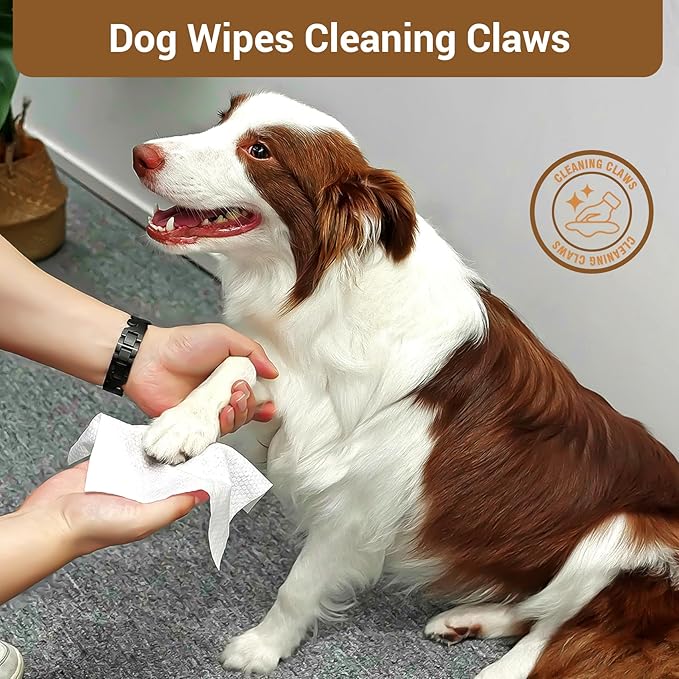 100 Coconut Oil Dog Wipes for Paws and Butt Large Thick Puppy Wipes for Dogs Face and Body Dog Wipes Cleaning Deodorizing Cat Wipes Cleaning Fur and Butt Big Doggie Wipes Doggy Wipes Bum Dog Ear Wipes