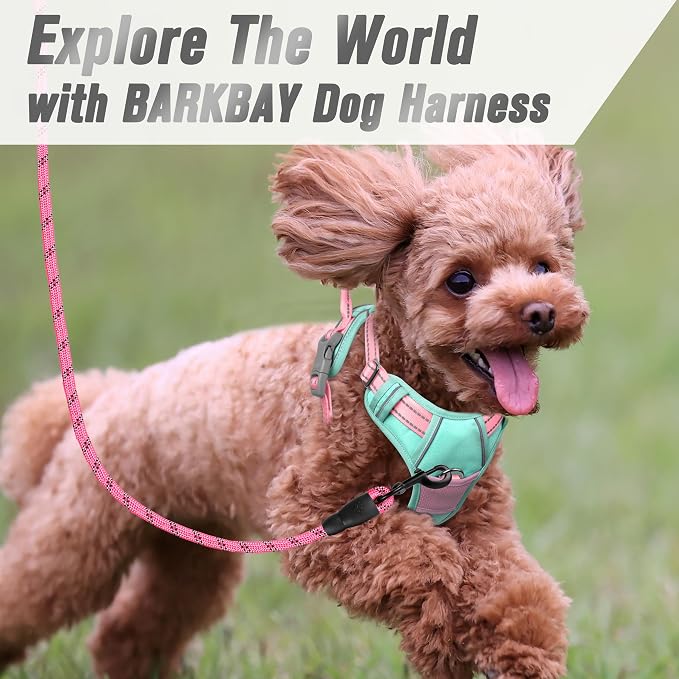 BARKBAY Dog Harness No Pull for Small Sized Dog Front Back Clips,Dog Vest | Soft Padded No Choke With Handle,Easy On&Off,Adjustable Reflective For Walking Training Running(Cool Mint & Baby Pink,XS)