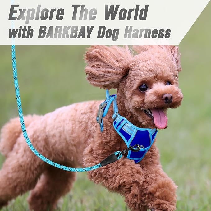 BARKBAY Dog Harness No Pull for Small Sized Dog Front Back Clips,Dog Vest | Soft Padded No Choke With Handle,Easy On&Off,Adjustable Reflective For Walking Training Running(Sapphire Blue & BlueXS)