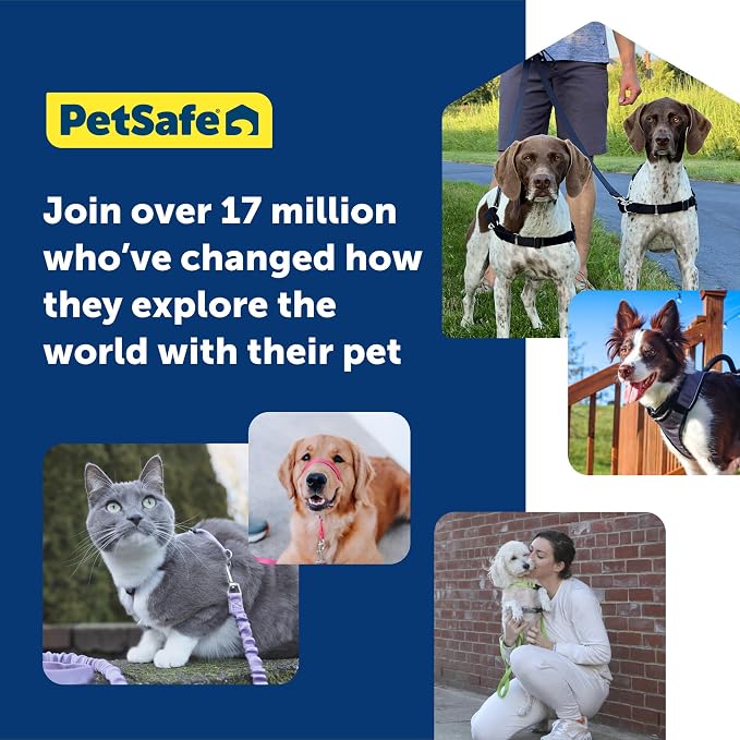 PetSafe Easy Walk Harness for Dogs - Pull-Free Walks - Patented Martingale LoopDesign-Front Chest Leash Attachment - Comfort Straps-Breathable Harness Design-Small,Charcoal/Black (Pack of 3)