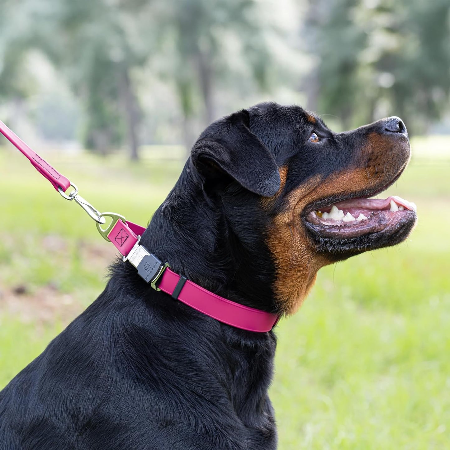 Dogline Biothane Waterproof Dog Collar with Herm Sprenger Stainless Steel Quick Release Buckle – Heavy Duty Tactical Durable Collar for Dogs – Comfortable and Safe Pet Collar, W 3/4" L 12-19", Magenta