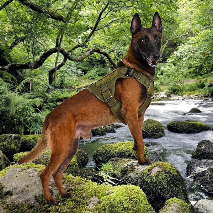 Tactical Dog Harness, Military Reflective Dog Harness | 2X Metal Buckle,Hidden Airtag Holder and Handle, Adjustable No-Pull Service Dog Vest with Molle & Loop Panels