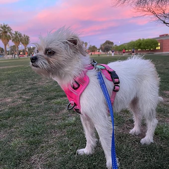 PoyPet No Pull Dog Harness, Reflective Vest with 2 Leash Clips & Handle | Lockable Neck Release Buckle, No Choke, Adjustable, Soft Padded, for Walking Training, Pink Matching Trim, X-Small