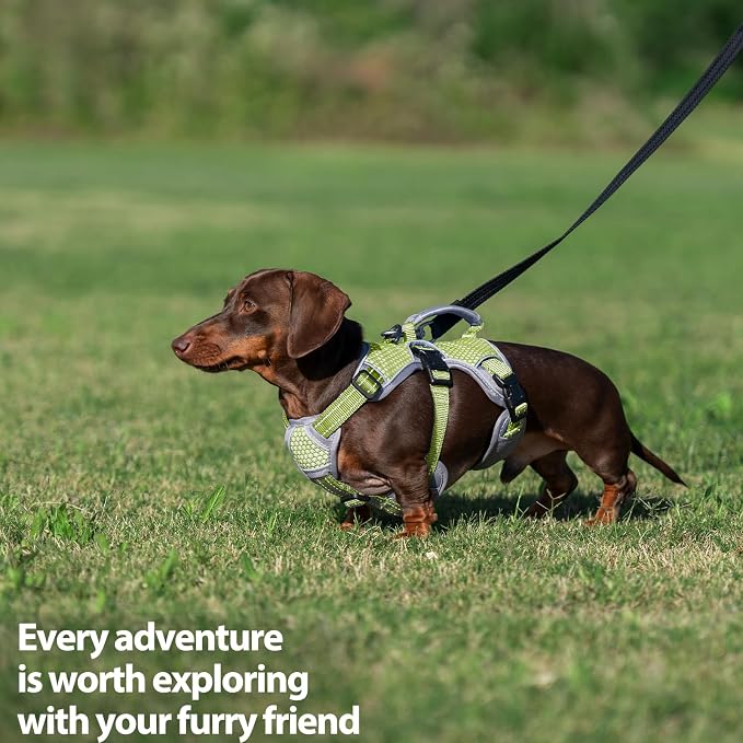 Escape Proof Dog Harness, Dachshund Harness, Reflective Dog Harness with Handle, Durable,Adjustable Vest for Small Medium Large Dogs Walking, Training, and Running Gear (Green,M)