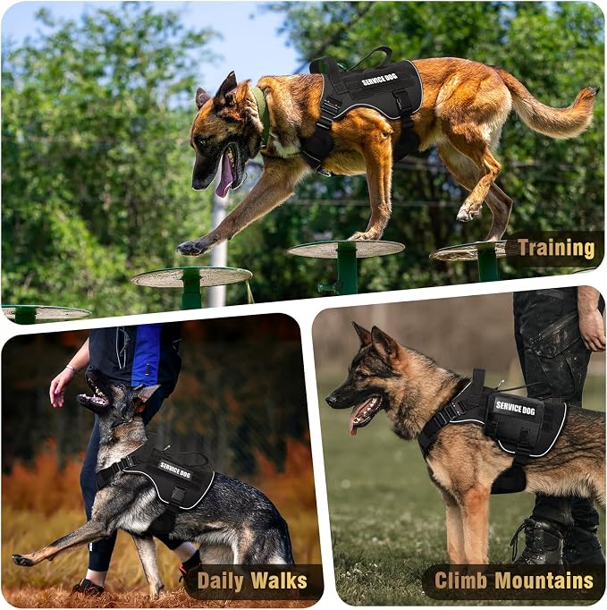 2X Metal Buckle Service Working MOLLE Dog Vest with 10 Pet Patches | Tactical Dog Harness for Large Dog, No-pull Military Working Vest for Training Hunting Walking,2x D Rings for Leash Clip