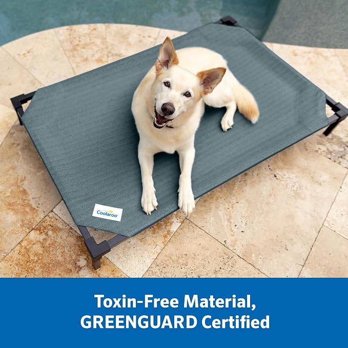Coolaroo Pro Elevated Dog Bed with HeatShield Fabric – Advanced Cooling Raised Cot for Medium & Large Breeds, Easy-Clean, Low-to-Ground Access, Bonus Bolster Pillow – Great Sandy Beige