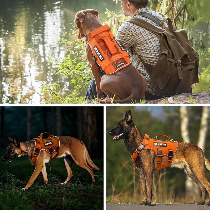 Tactical Molle Vest Mesh Dog Harness with 10 Removale Pet Patches | Breathable Service Dog harness with Double Soft Padded Handle for Large Dog, Reflective Military Pet Vest for Walk Hiking