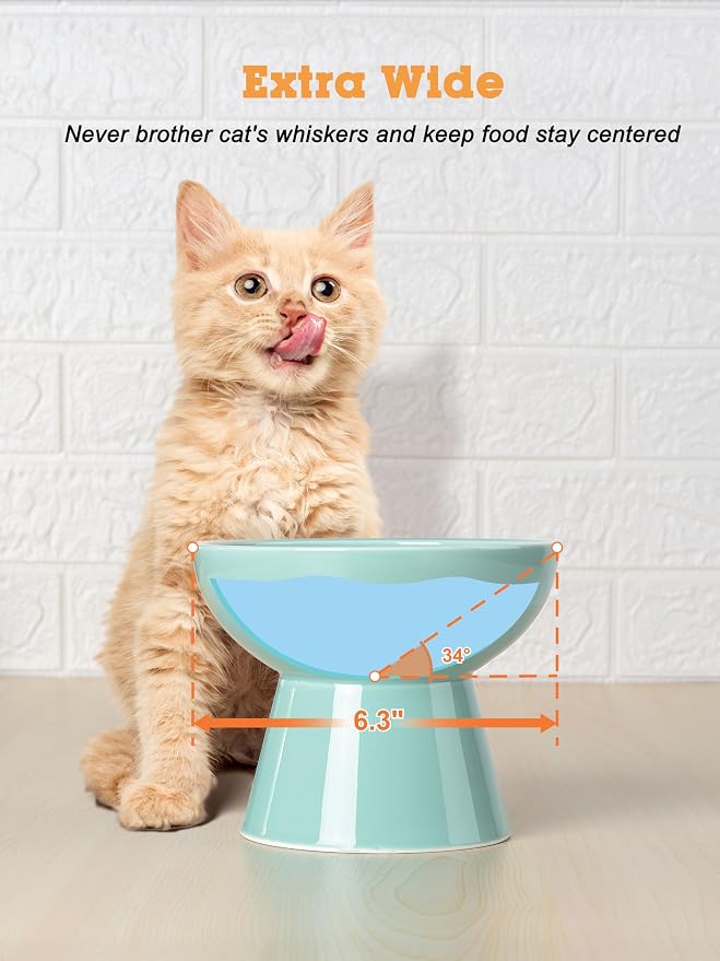 LoeJan Elevated Cat Food and Water Bowls Set, Extra Wide and Raised Ceramic Feeder, Anti-Vomit Whisker-Free Pressure Feeding Bowl for Kittens Adult Small Dogs, Blue