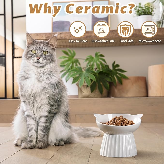 Ceramic Raised Cat Bowl,Tilted Raised Bowl Anti Vomit for Indoor Cats Whisker Friendly Pet Feeder for Cats Puppies, Microwave and Dishwasher Safe (White-2 Pack)