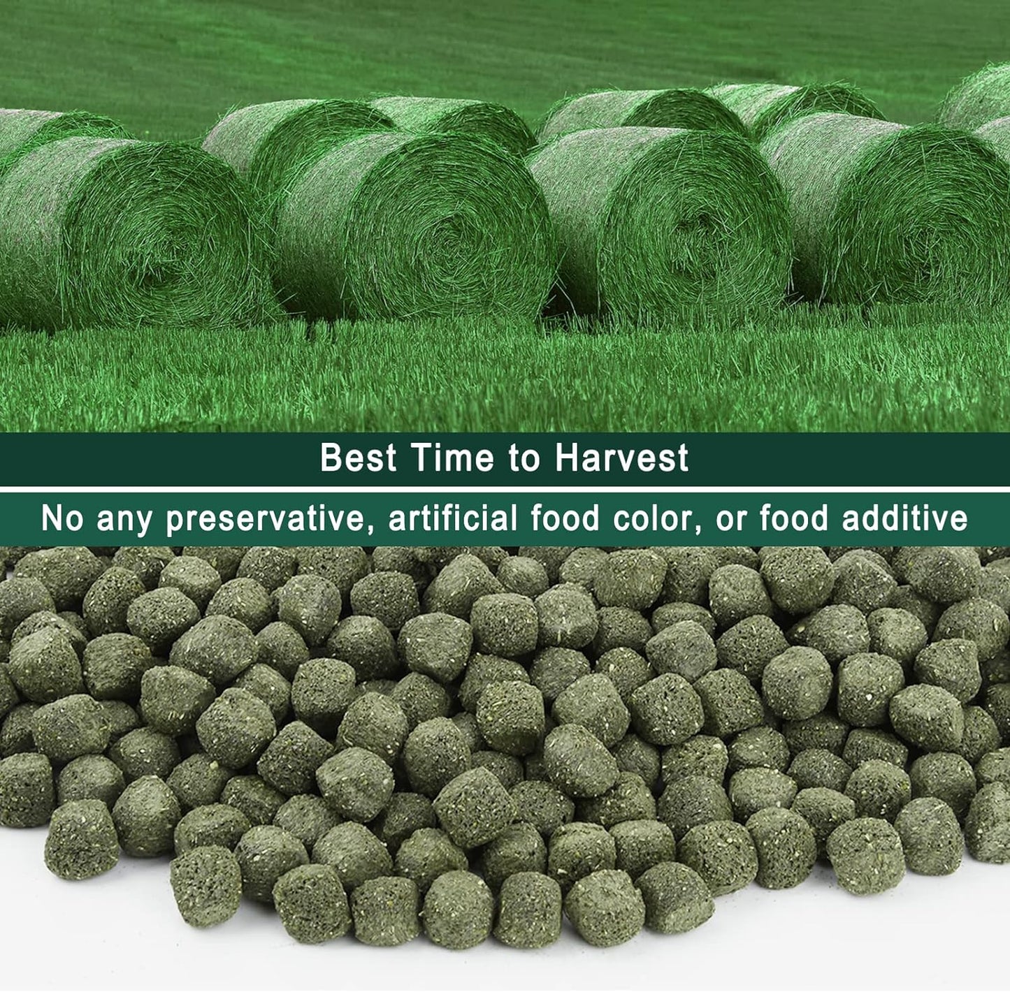 Timothy Hay Cubes 11 oz -100% Natural Timothy Hay Made for Rabbits Sulcata Tortoise Guinea Pig, 11 oz