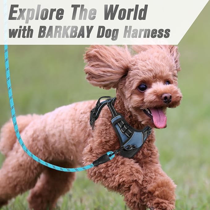 BARKBAY Dog Harness No Pull for Small Sized Dog Front Back Clips,Dog Vest | Soft Padded No Choke With Handle,Easy On&Off,Adjustable Reflective For Walking Training Running(Navy,XS)