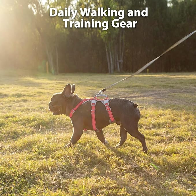 No Escape Dog Harness, Escape Proof Harness, Fully Reflective Harness with Padded Handle, Breathable, Durable, Adjustable Vest for Small Dogs Walking,Training,and Running Gear(Red,S)