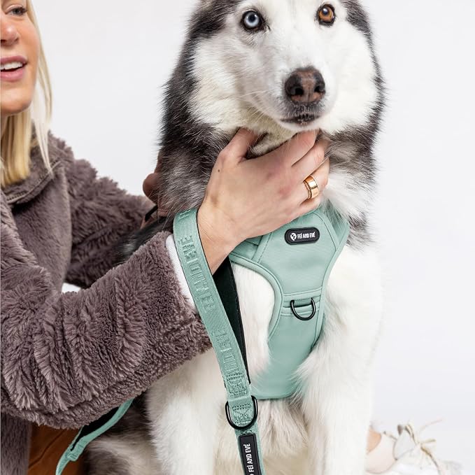 Fei & Eve Classic Dog Harness, MagEase Magnetic Buckle | 3-Point No-Pull Control, Dual Handle Support, 900D Nylon, Tactical Patch Panel, Heavy Duty, Medium, Green