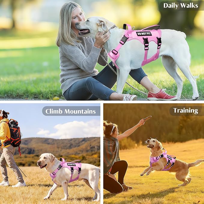 Escape Proof Dog Harness with Double Handle+4 Removable Patches | Service Working Molle Harness with Double Handle for Medium Dogs, Tactical Pet Reflective Vest for Walking Hiking Hunting