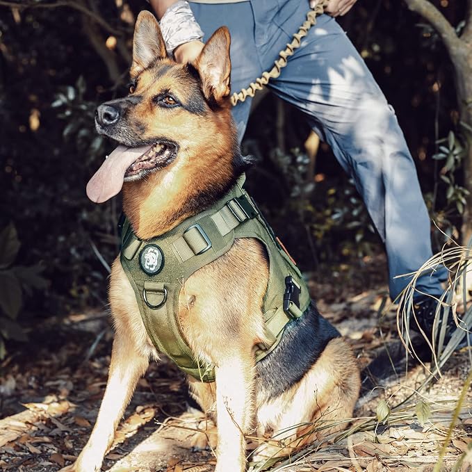 OneTigris Tactical Dog Harness, No-Pull Dog Vest with Leash Clips Green M | Dog Harness Adjustable for Hiking Training Outdoor Military 1000D Pullable Nylon, Service Dog Vest with Hook & Loop Panels
