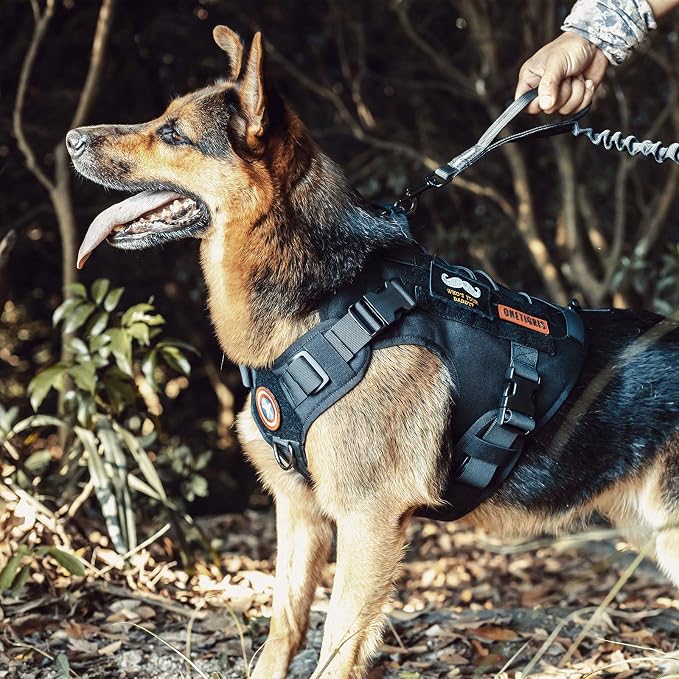OneTigris Tactical Dog Harness Vest with Handle, Dog Harness for Large Medium Dogs,No-Pull Service Dog Vest with Hook & Loop Panels,Adjustable Dog Vest Harness for Walking(Black,Small) | No-Pull Service Dog Vest with Hook & Loop Panels, Adjustable Dog ...