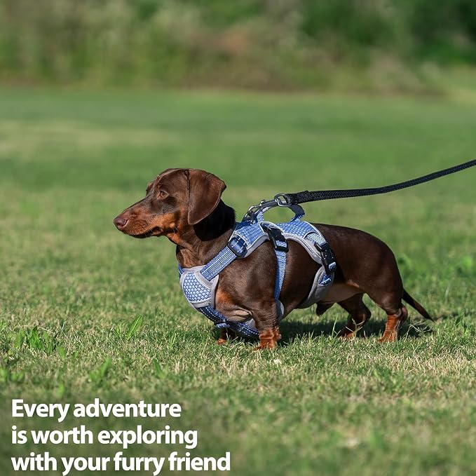 Escape Proof Dog Harness, Dachshund Harness, Reflective Dog Harness with Handle, Durable,Adjustable Vest for Small Medium Large Dogs Walking, Training, and Running Gear (Technicolor Blue,S)