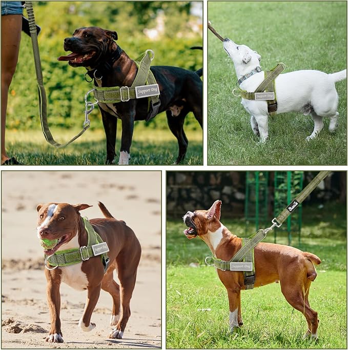SlowTon No Pull Dog Harness with Front Clip - Heavy Duty, Soft Padded | Neck & Chest Adjustable, Tactical Pet Vest and Leash Set for Large Medium Sized Dogs, for Easy Walk & Training, Green XL