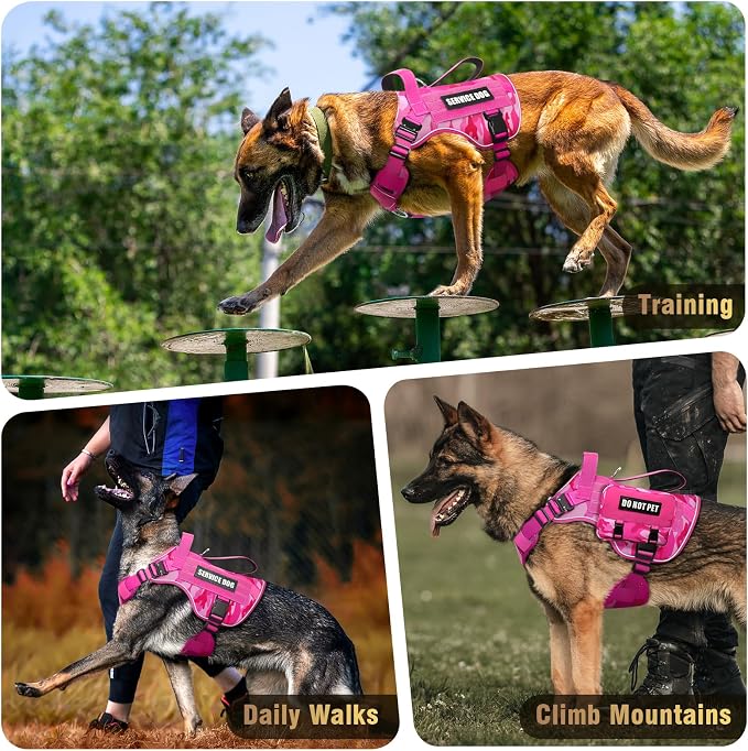2X Metal Buckle Service Working MOLLE Dog Vest with 10 Pet Patches | Tactical Dog Harness for Large Dog, No-pull Military Working Vest for Training Hunting Walking,2x D Rings for Leash Clip