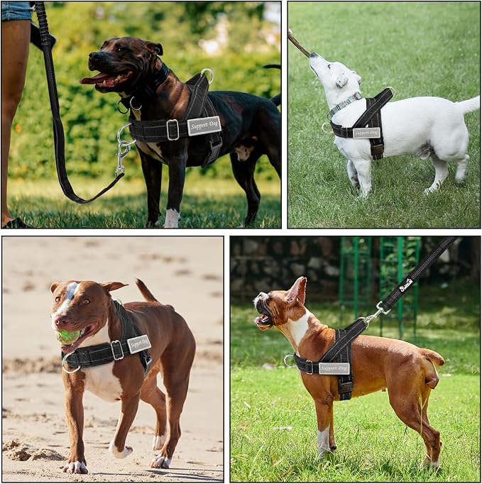 SlowTon No Pull Dog Harness with Front Clip - Heavy Duty, Soft Padded | Neck & Chest Adjustable, Tactical Pet Vest and Leash Set for Large Medium Sized Dogs, for Easy Walk & Training, Black XL